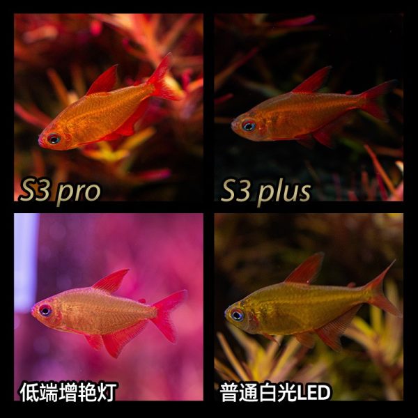 NEO-HELIOS S3pro+ Lens RGB Clip Light - Image 2