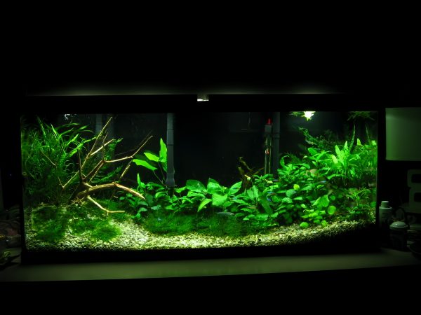 Custom Aquarium Setup Package - Image 2