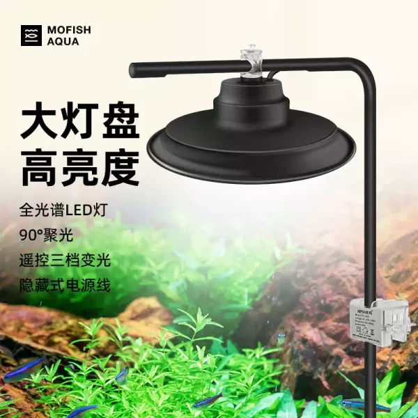 XINMA WRGB Hanging Downlight (Remote Control) - Image 4