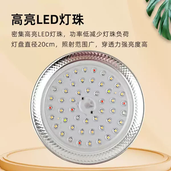 XINMA WRGB Hanging Downlight (Remote Control) - Image 2