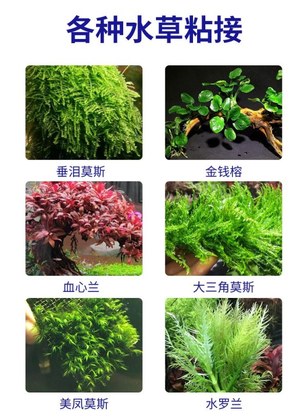 FENLY Plant-Moss-Rock-Wood Landscaping Instant Glue - Image 2