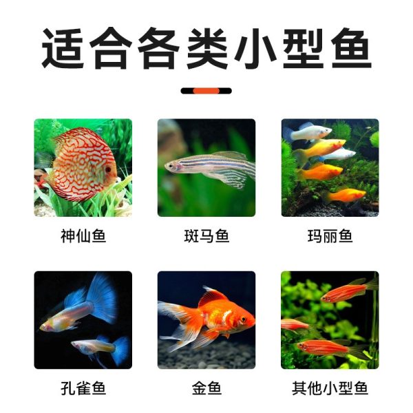 SPRAY Small Fish Earth Worm Tablet Food (100g) - Image 3