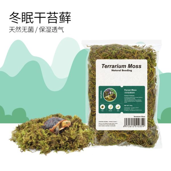 COOL CLIMB Dry Terrarium Moss (100g)