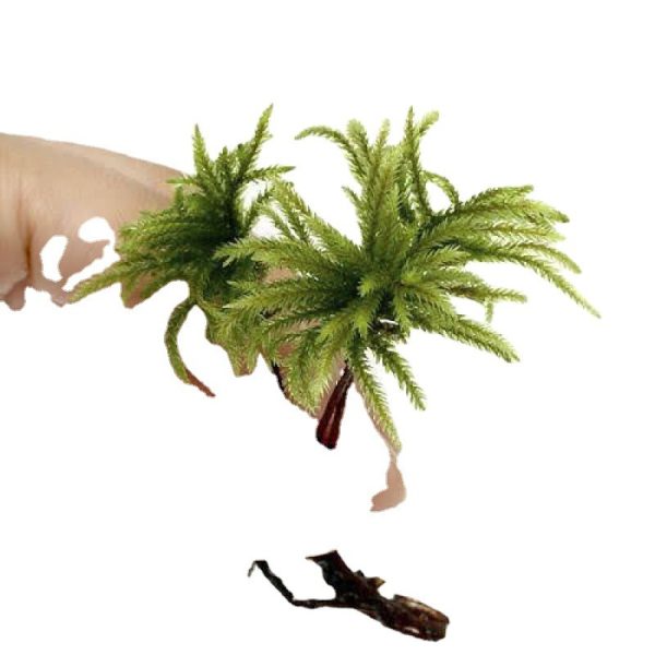 Palm Moss For Micro-Landscape (5Pcs Pack) - Image 2