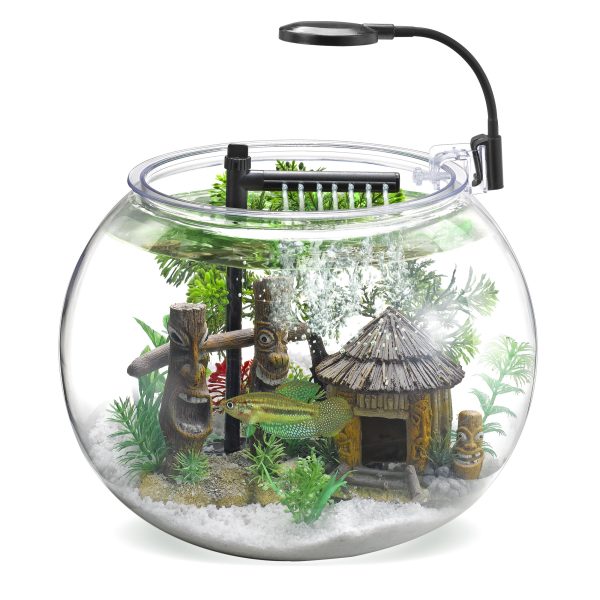 NUBIOS Desktop Fish Bowl With Filter+Lamp - Image 2