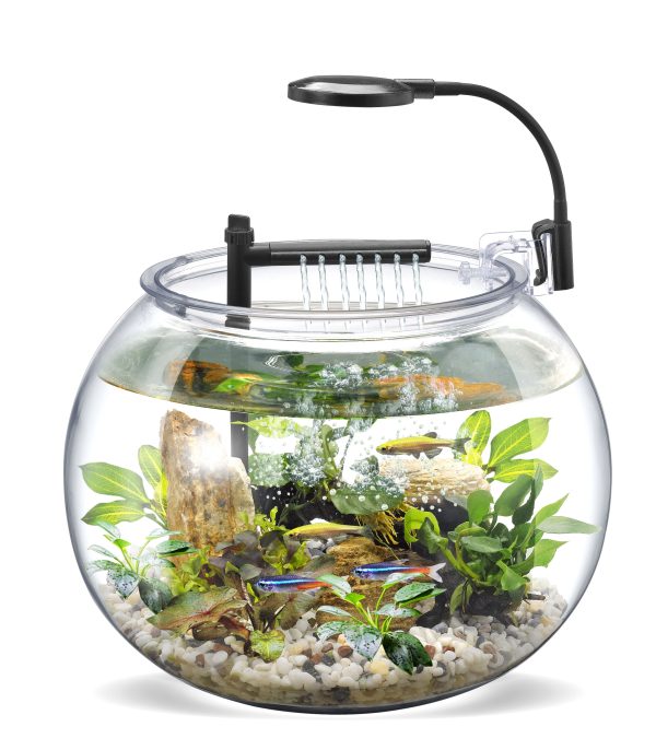 NUBIOS Desktop Fish Bowl With Filter+Lamp - Image 3