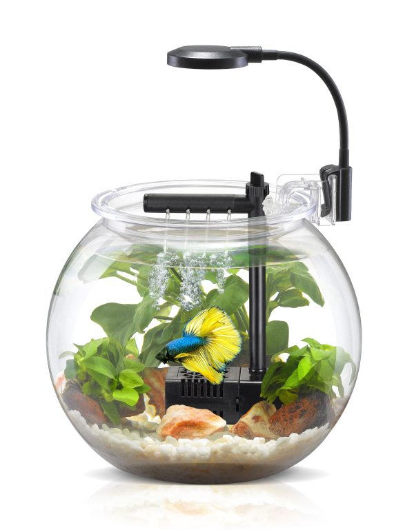 NUBIOS Desktop Fish Bowl With Filter+Lamp - Image 4