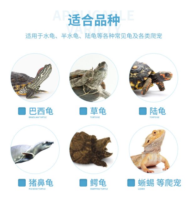 GODZILLA Turtle Medicine (Eye, Skin, Shell, Water) - Image 2