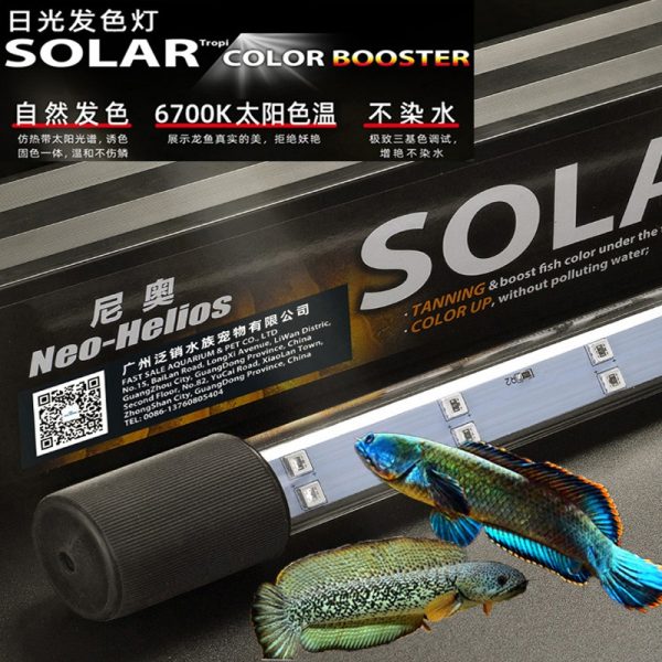 NEO SOLAR Fish Brightening Lamp - Image 2