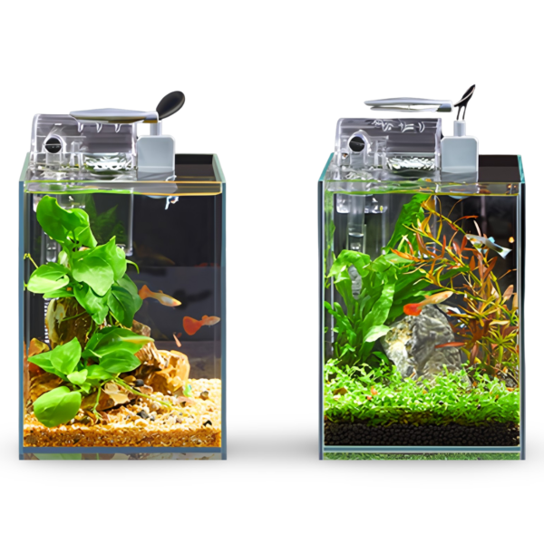 MINI Ecological Fish Tank Setup