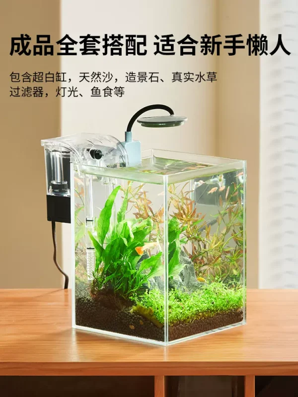 MINI Ecological Fish Tank Setup - Image 4