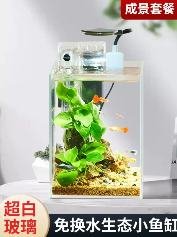 MINI Ecological Fish Tank Setup - Image 3