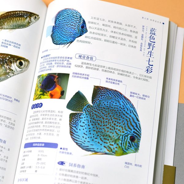 Encyclopedia of Ornamental Fish - Image 4